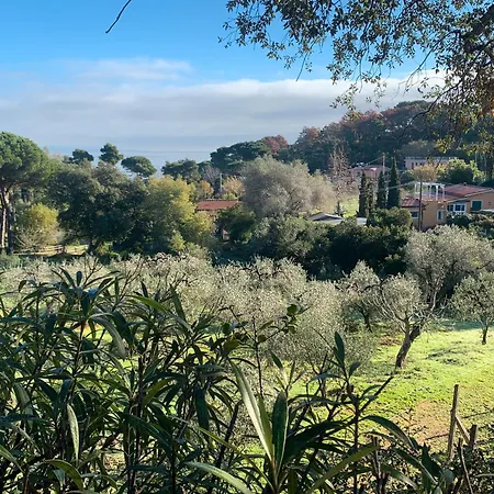 A Straccoligno Capoliveri
