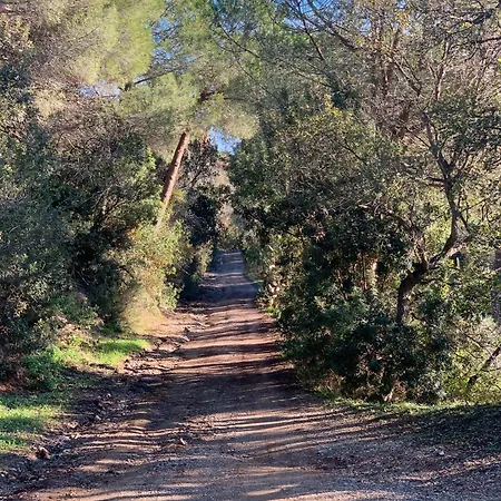 A Straccoligno Apartman