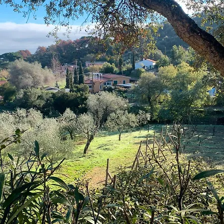 Apartman A Straccoligno